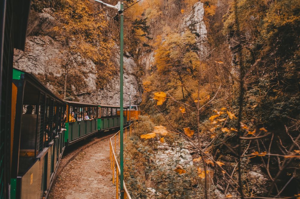 Фотография автора Олег Васильев