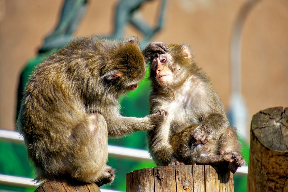 Photograph by Рахманин Михаил