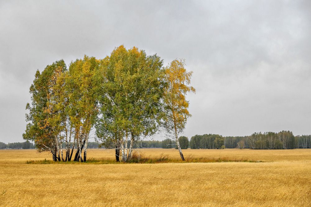 Фотография автора Дмитрий Климов
