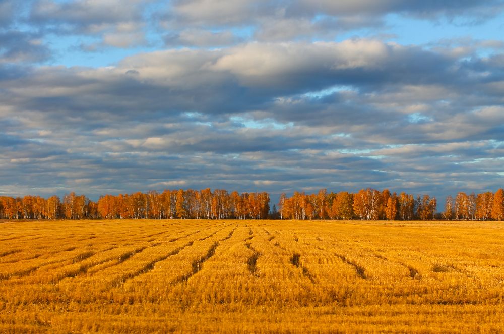 Фотография автора Дмитрий Климов