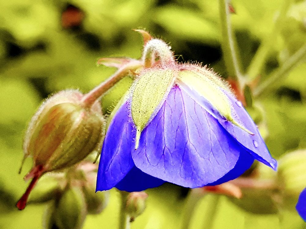 Photograph by Екатерина