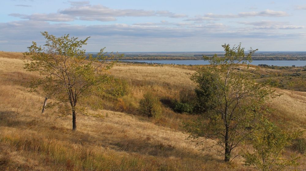 Photograph by Елена Глуховкина