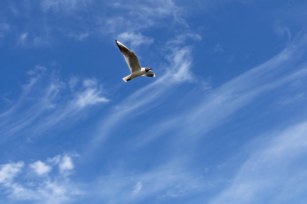 Photograph by Марина Вильдяева