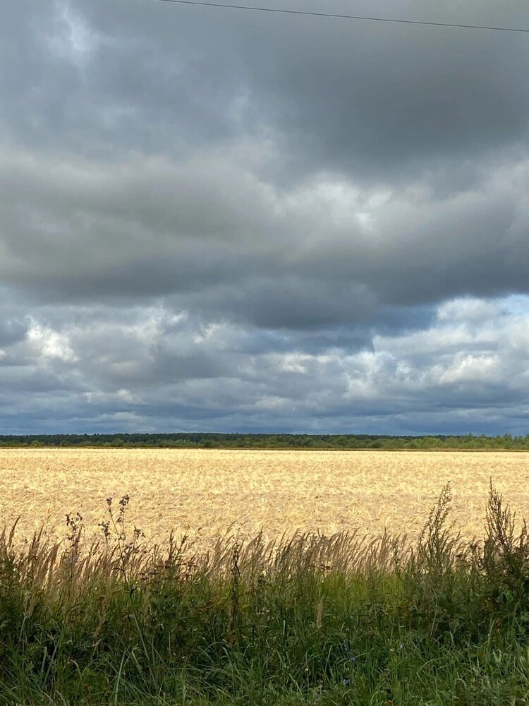 Photograph by Елена