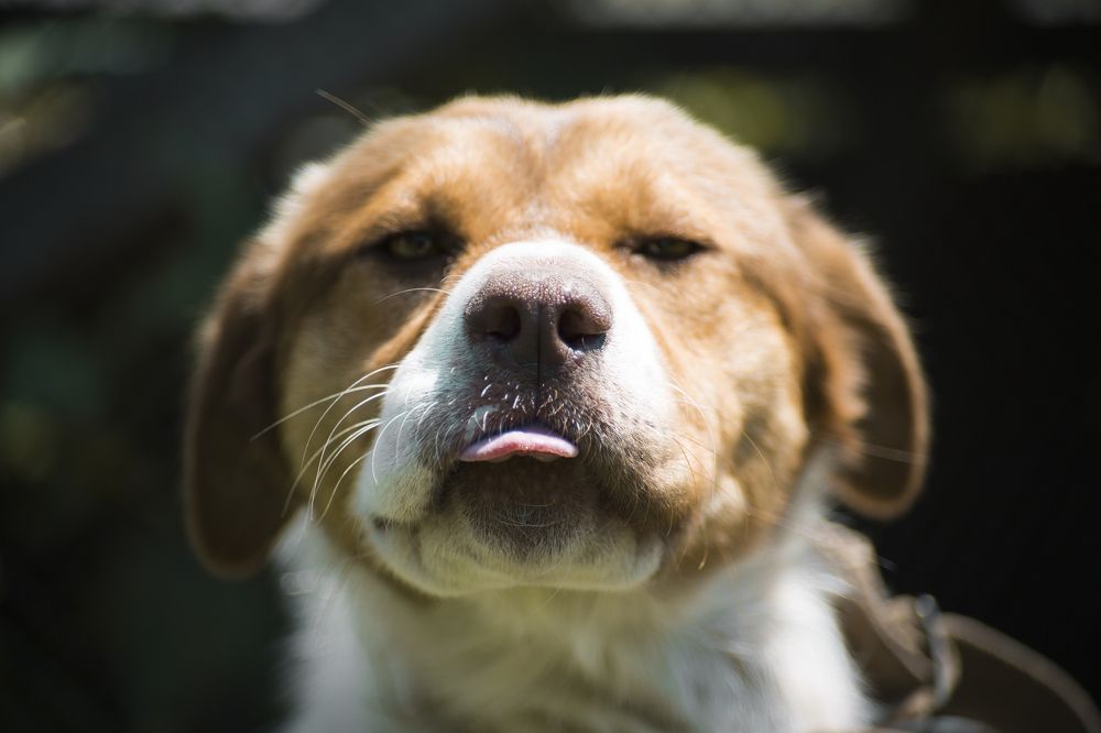 Photograph by Екатерина Аматуни