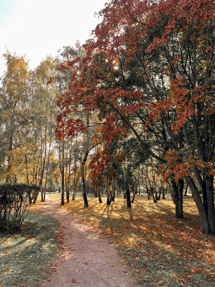 Фотография автора Евгения