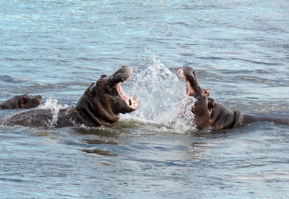 Photograph by Slawomir Kania