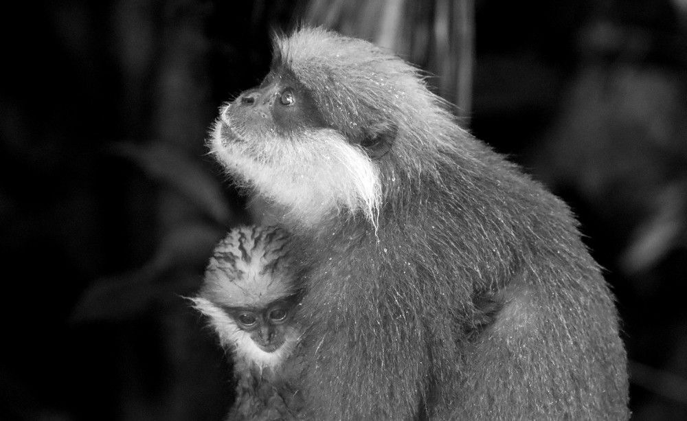 Photograph by Menula Dharmathilake