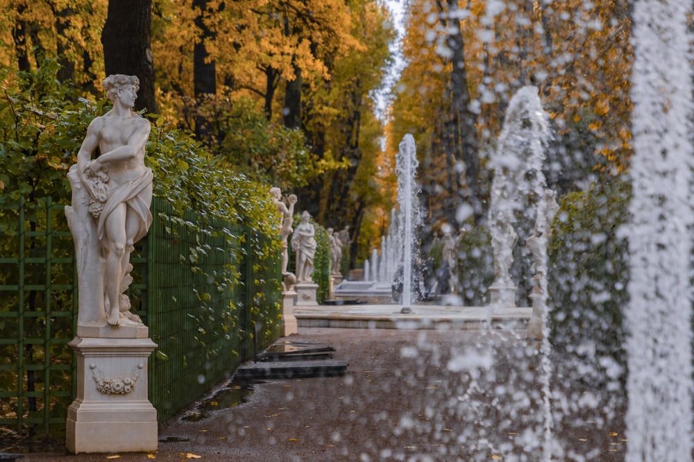 Фотография автора Ксения Зайцева
