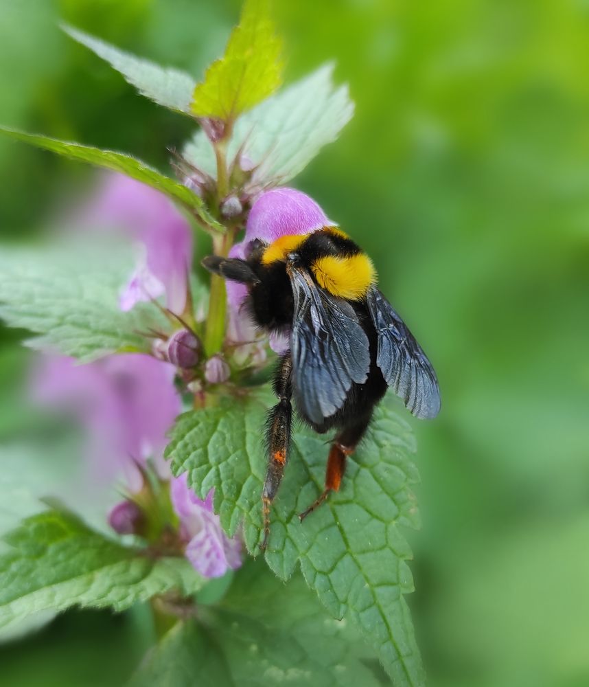 Photograph by Анастасия