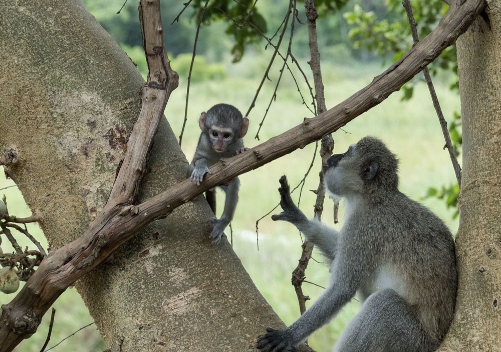 Photograph by Slawomir Kania