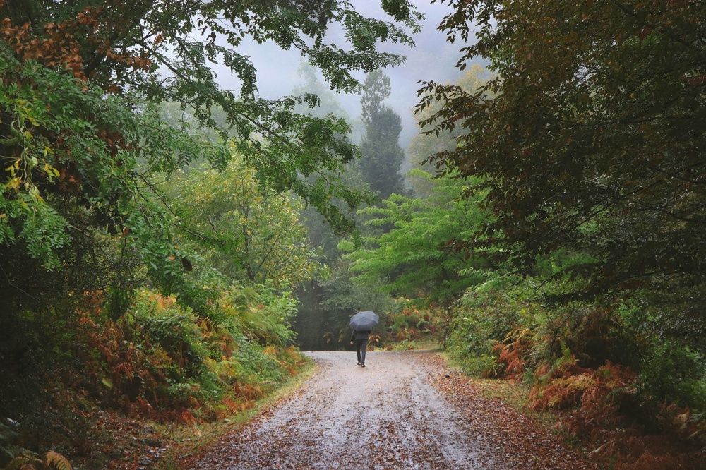 Фотография автора amir shafahi