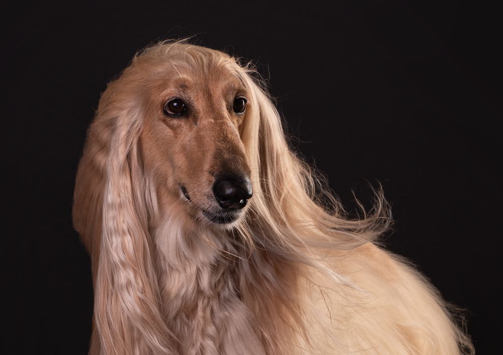 Photograph by наталья залогина