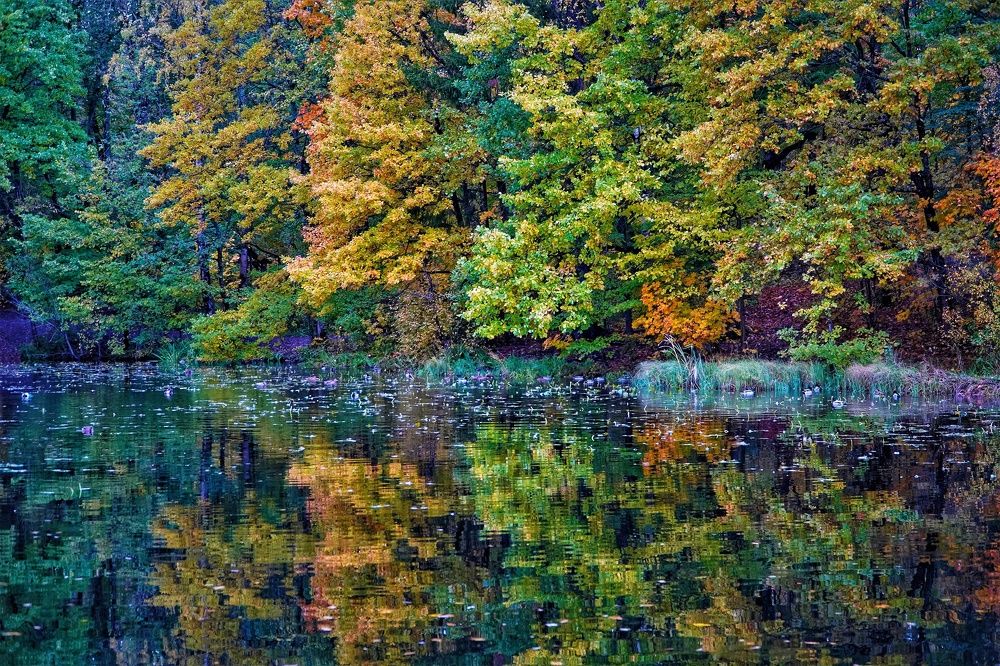 Photograph by Марина Безенкина