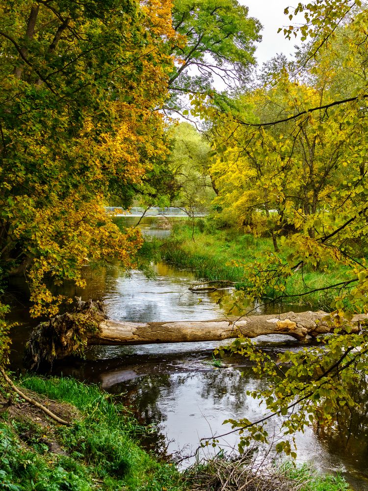 Photograph by Valdis Serzhans