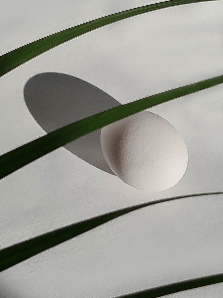 Фотография автора Ольга Ухналева