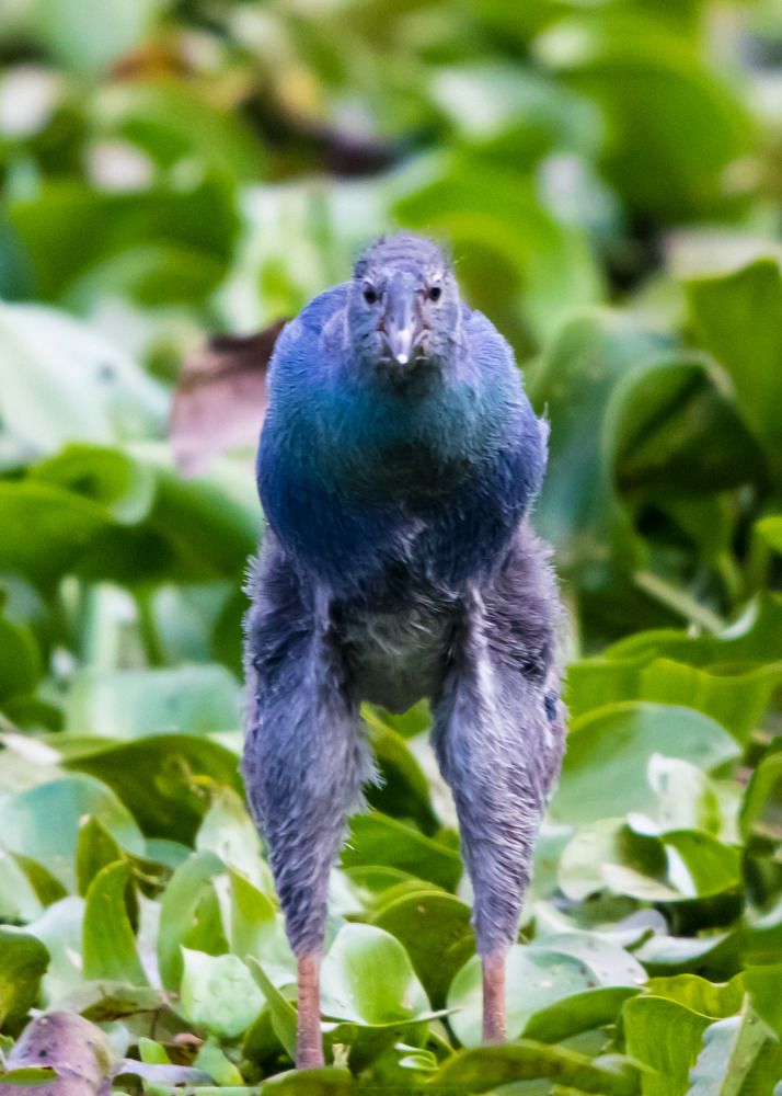 Photograph by Jemy Jose Mathew