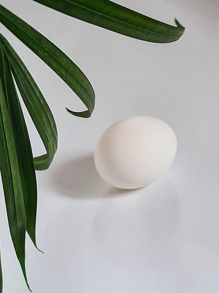 Фотография автора Ольга Ухналева