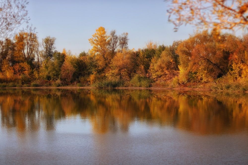 Photograph by Гульжан Шарипова