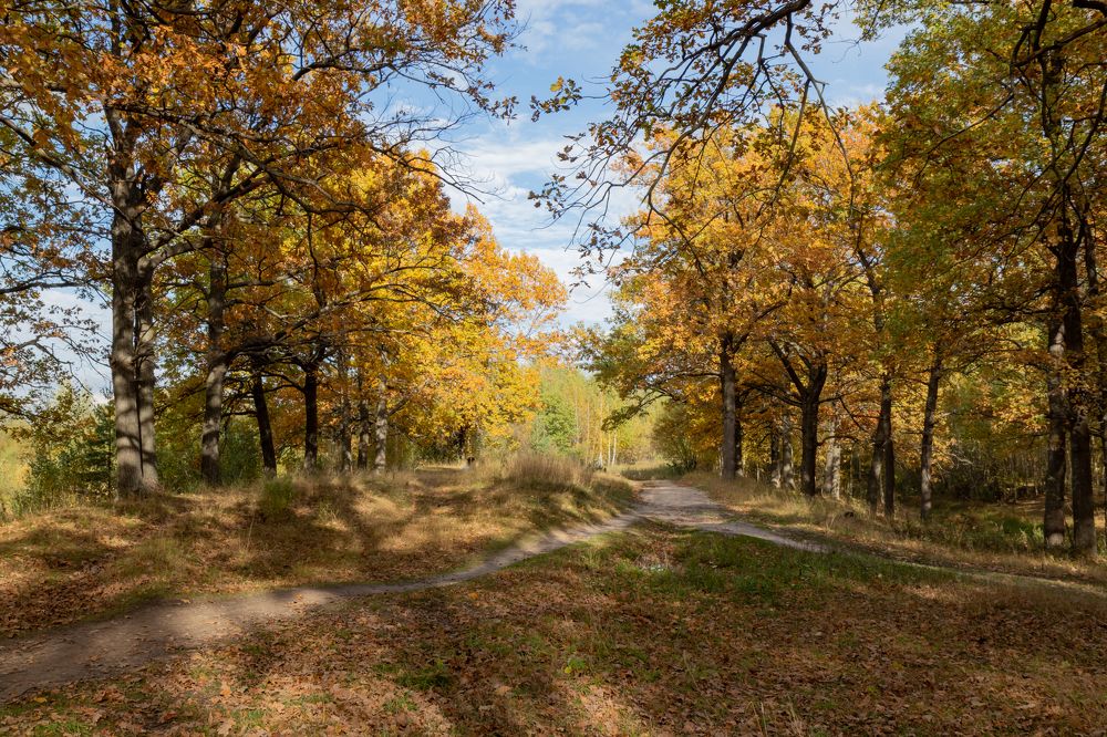 Photograph by Светлана Тараканова