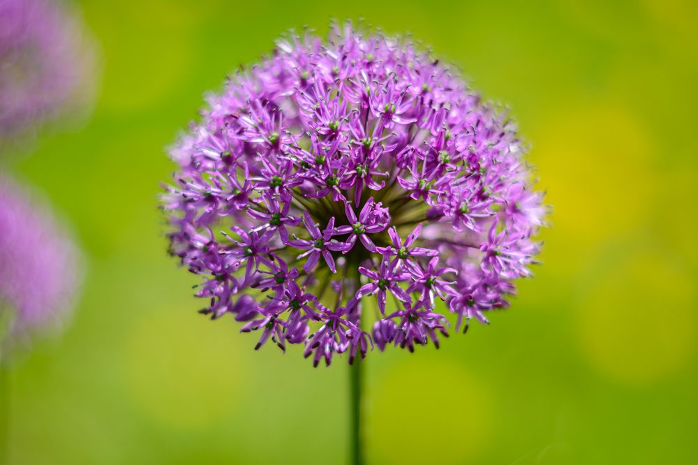 Photograph by Елена Берсенёва