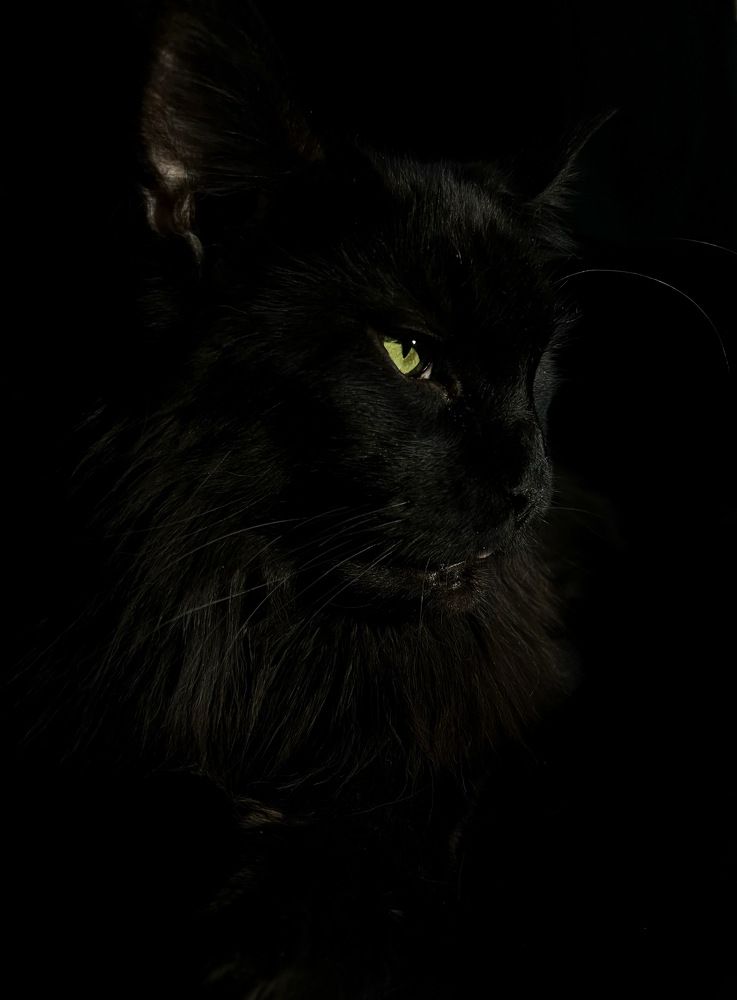 Photograph by Кристина Литуновская