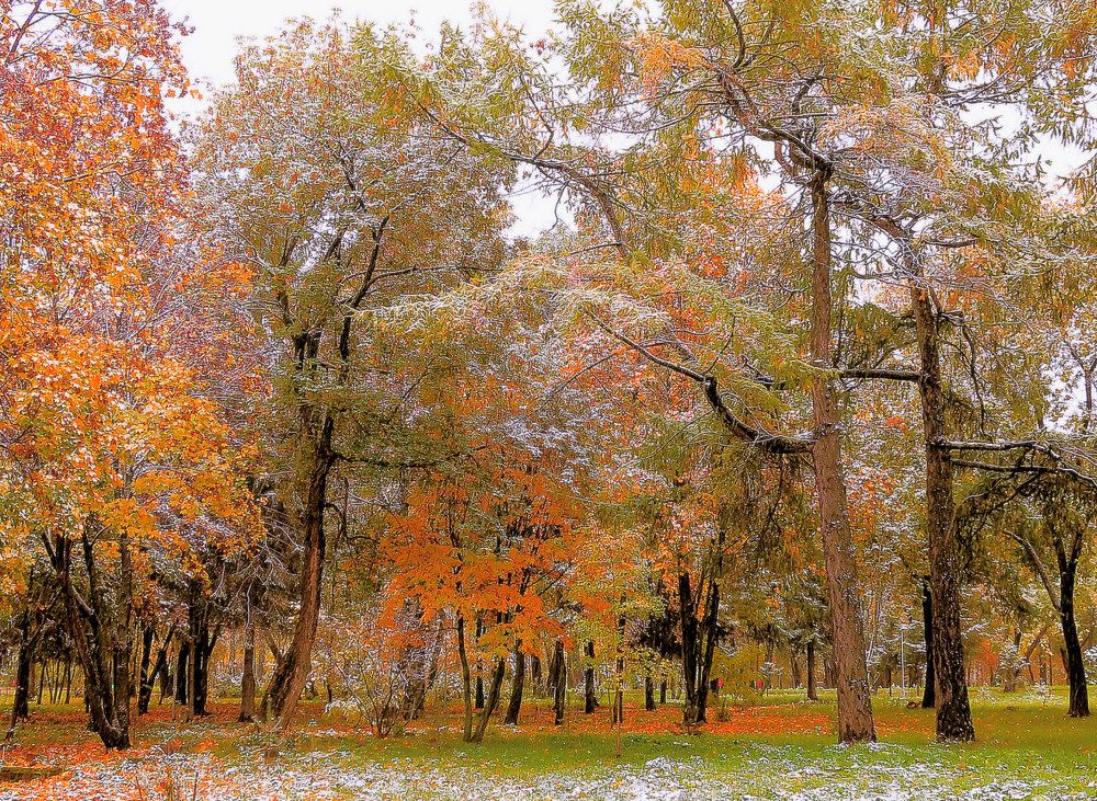 Photograph by Елена Чудиновских