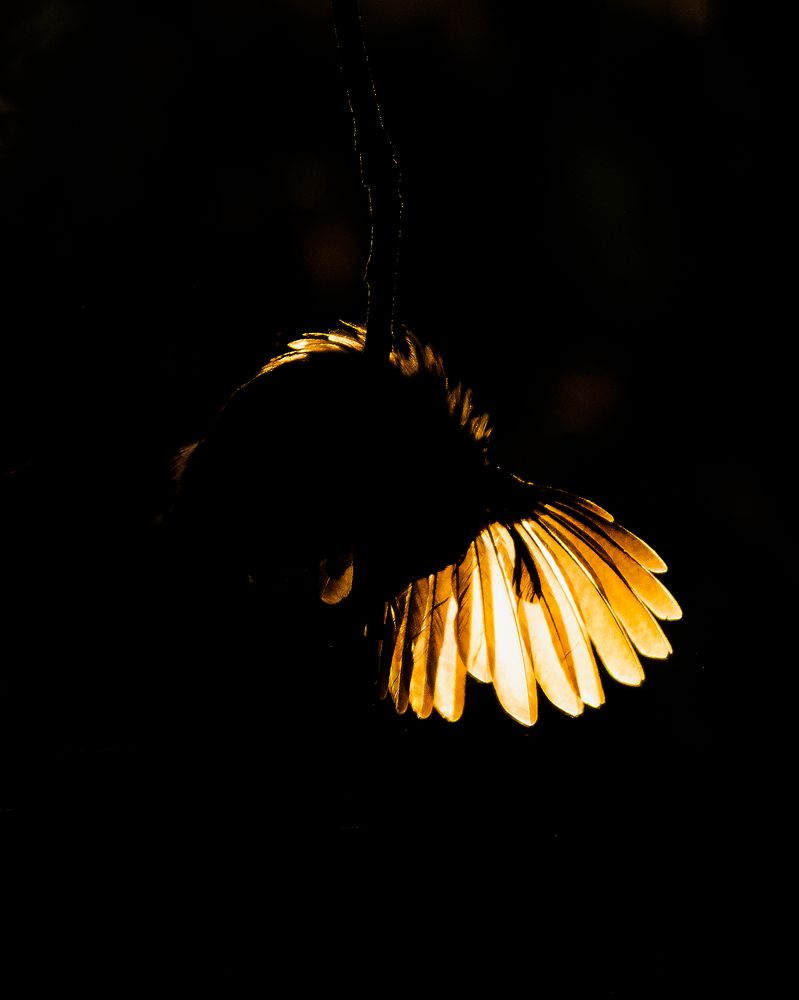 Photograph by Jemy Jose Mathew