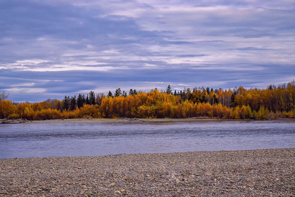 Осень и Селемджа