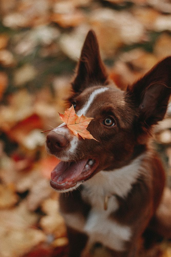 Photograph by Татьяна