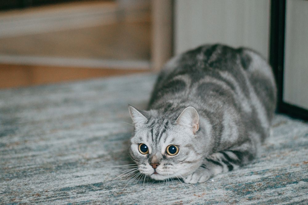 Photograph by Татьяна