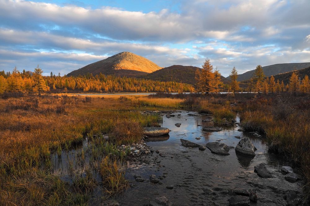 Photograph by Александр Попов