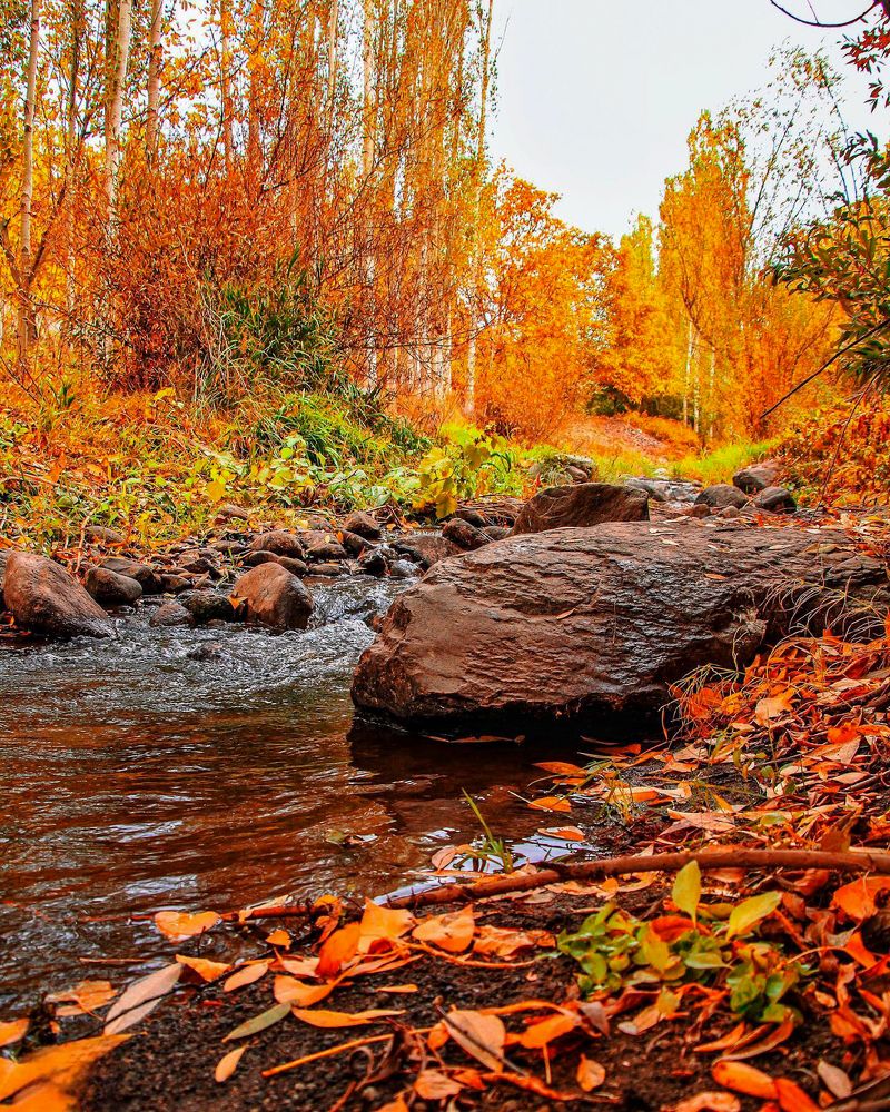 Photograph by naser rezaeian