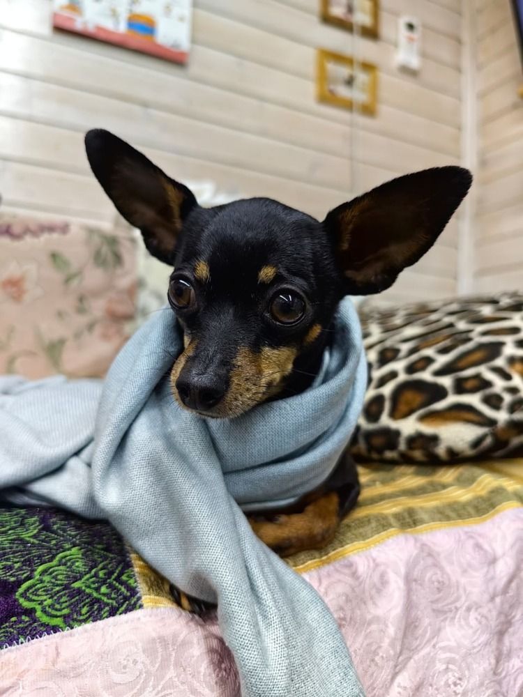 Photograph by Лейла Низамовна Кулиева