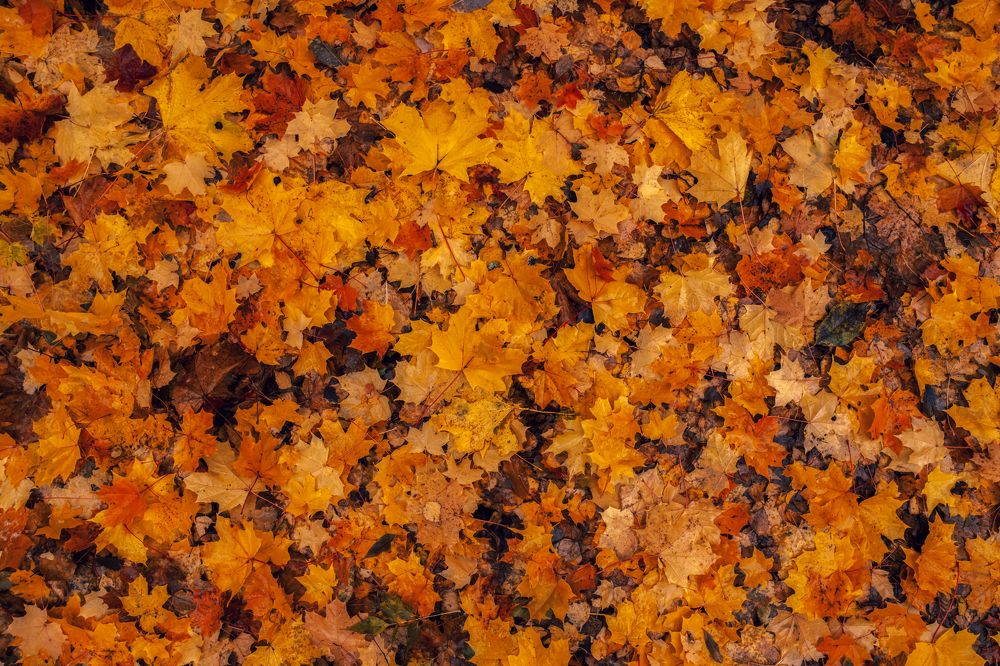 Photograph by Владимир Портуаров