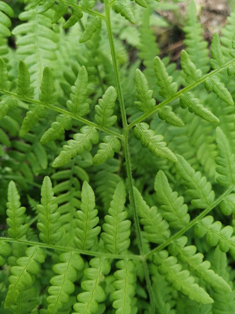 Photograph by Юля Хатыпова