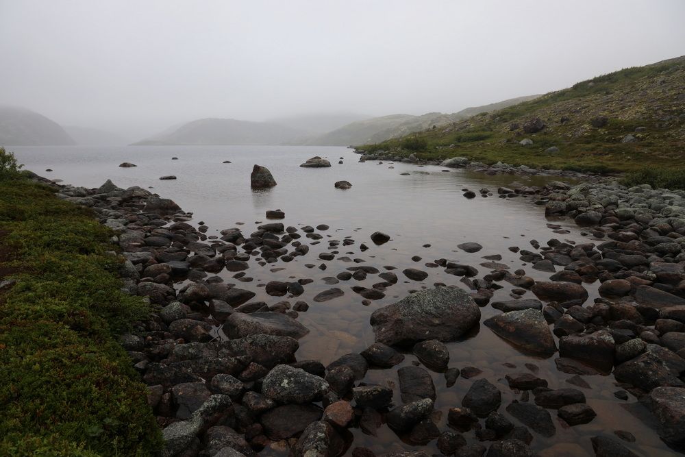 Фотография автора Колосова Елена