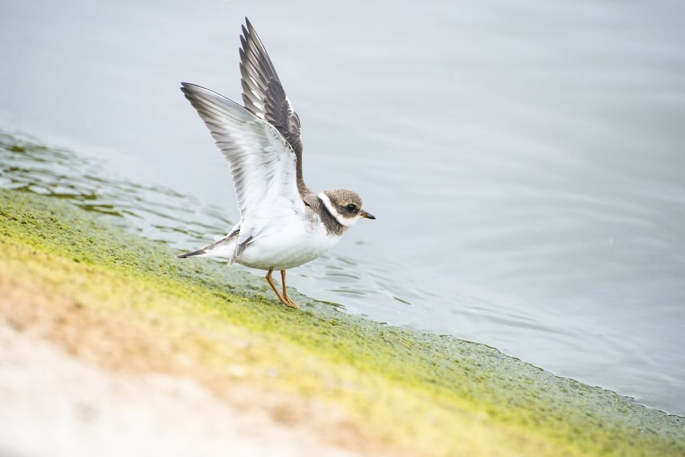 Photograph by Мария Долбич