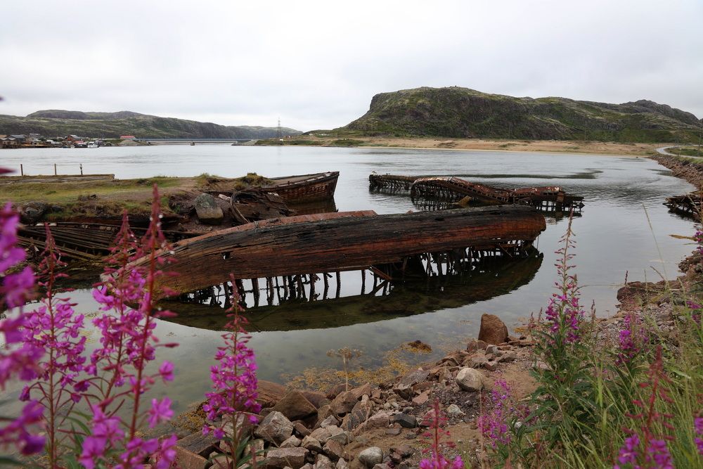 Фотография автора Колосова Елена