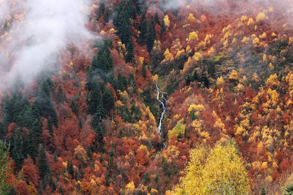 Photograph by Горшков Игорь