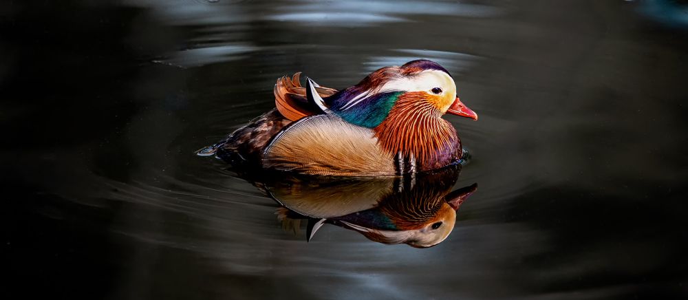 Photograph by Evgenia Loskutova