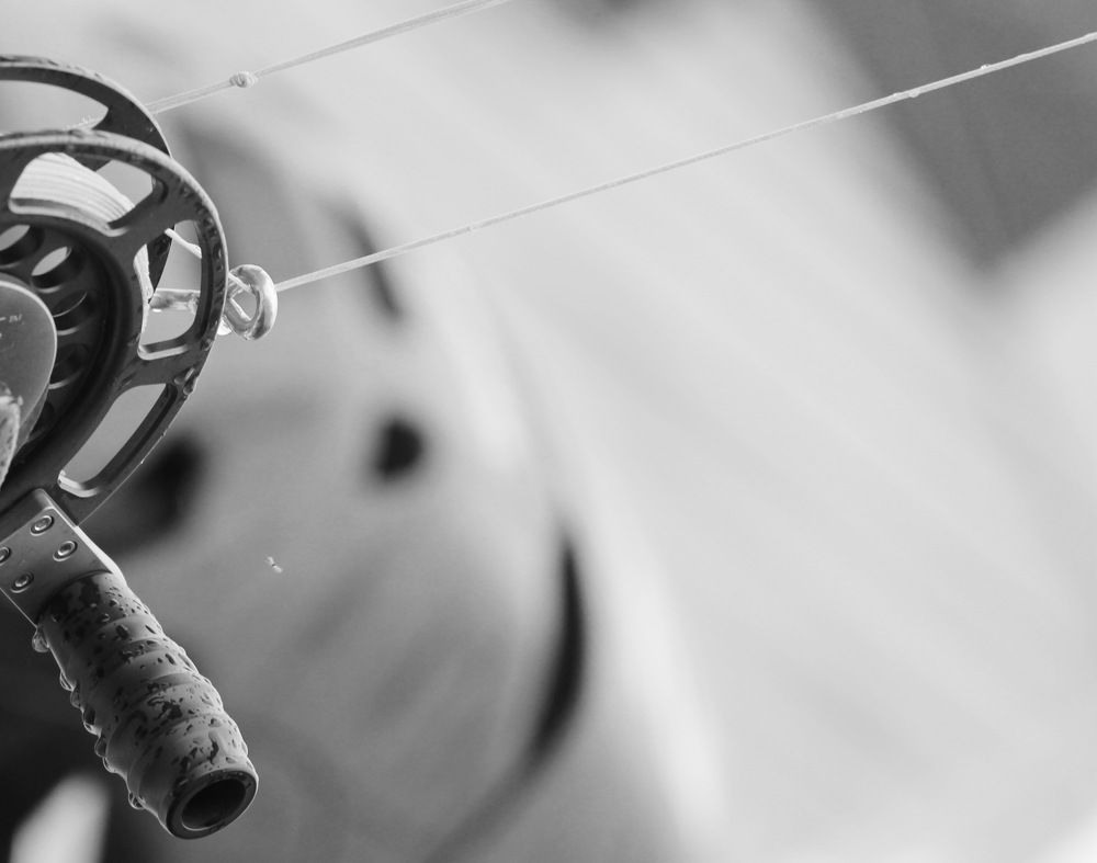 Фотография автора Колосова Елена