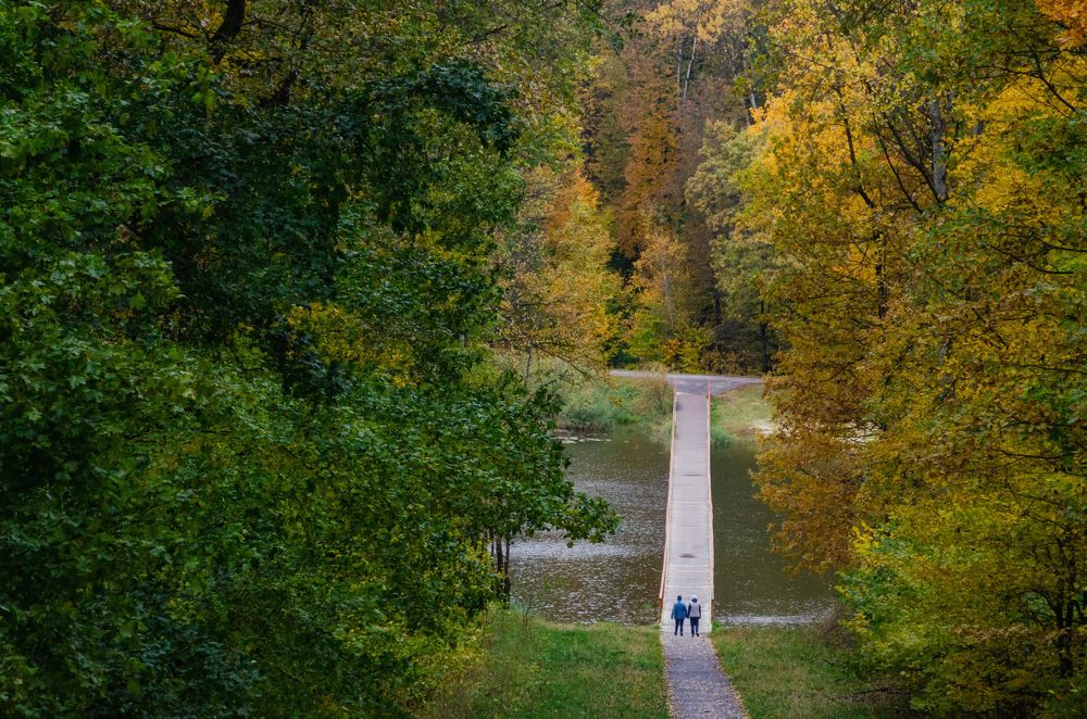 Photograph by Гайдук Евгений