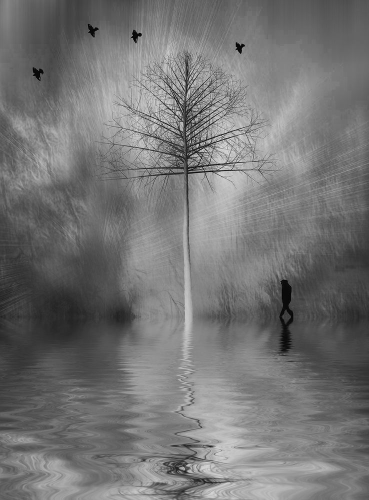 Photograph by Мариана Добрева