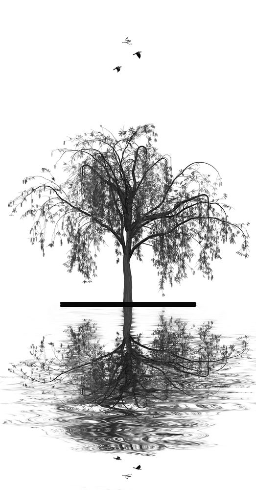 Photograph by Мариана Добрева