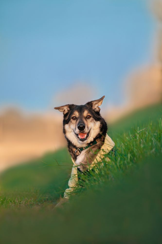 Photograph by Татьяна Степанова