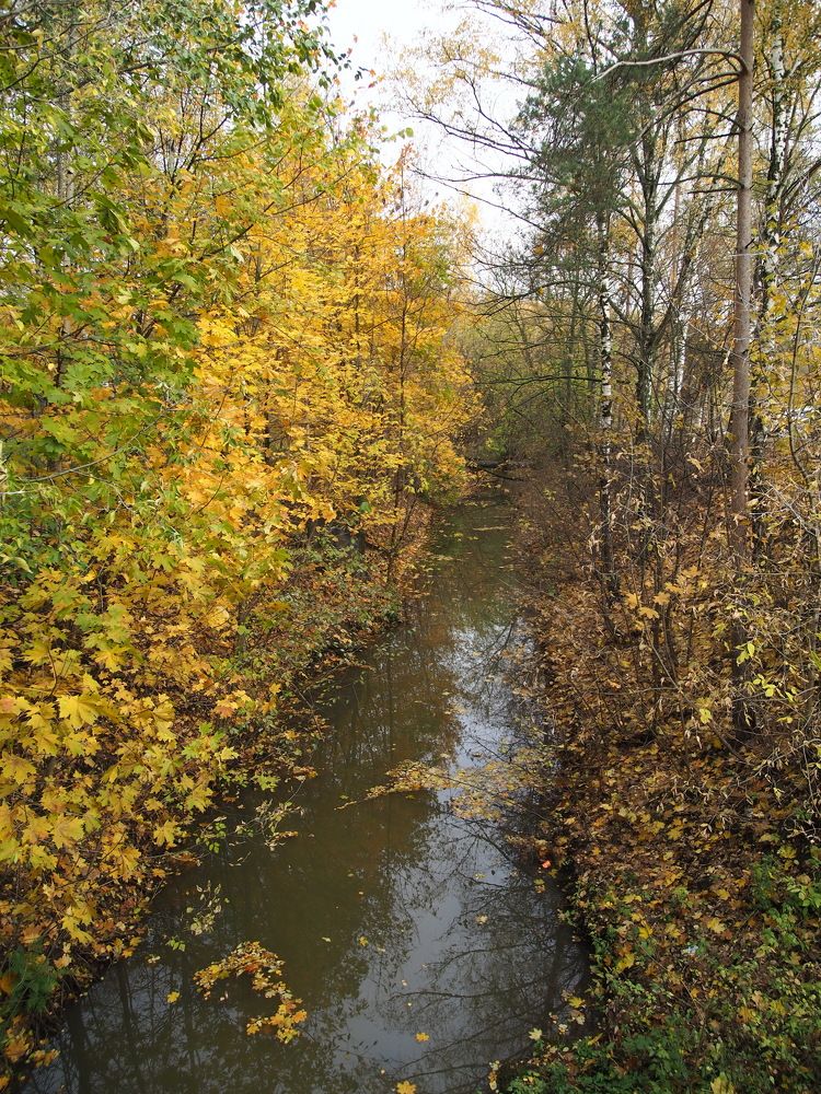 Photograph by Ольга