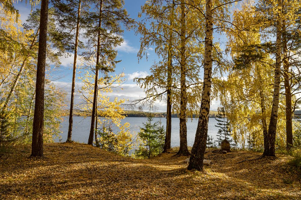 Photograph by Николай Ларионов