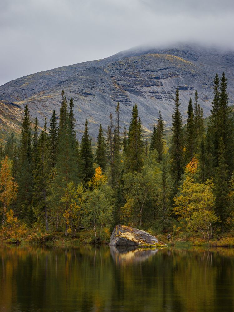 Photograph by Anna Levina