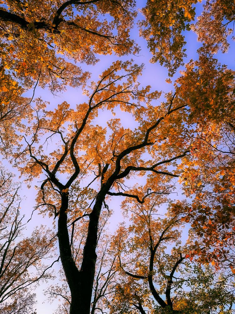 Photograph by Зара Нехай